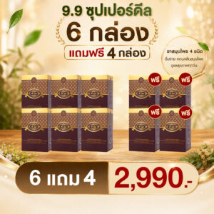 T-Mixes Herbal Tea เครื่องดื่มสมุนไพร ทีมิกซ์ 6 แถม 4