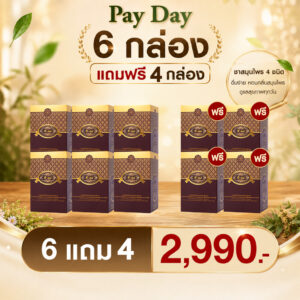 T-Mixes Herbal Tea เครื่องดื่มสมุนไพร ทีมิกซ์ 6 แถม 4